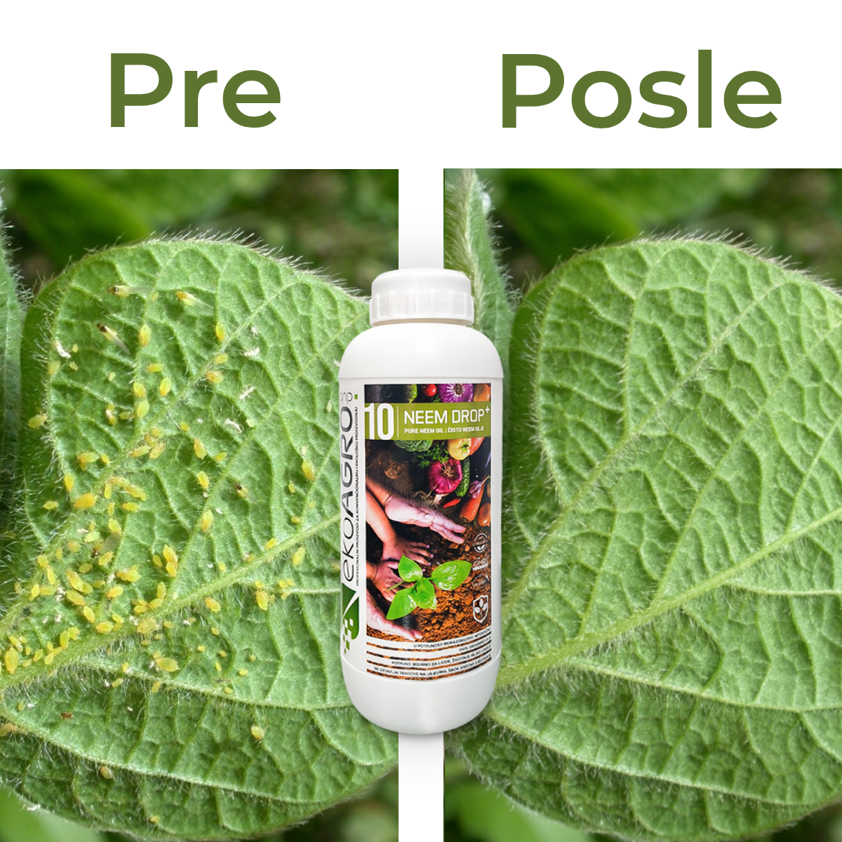 Neem Drop+ Neem Ulje | 100% Prirodni Pesticid za Biljke (1L)