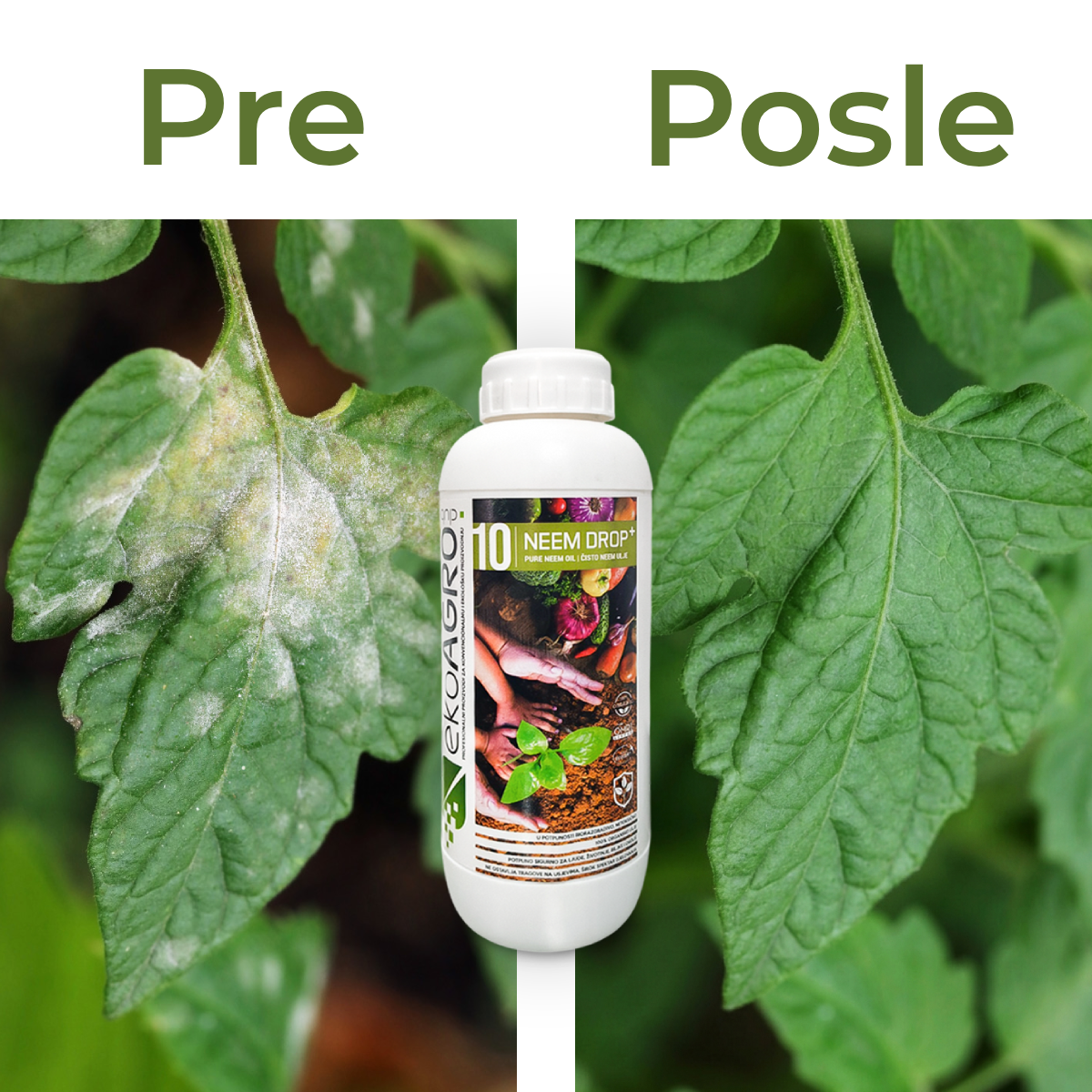 Neem Drop+ Neem Ulje | 100% Prirodni Pesticid za Biljke (1L)